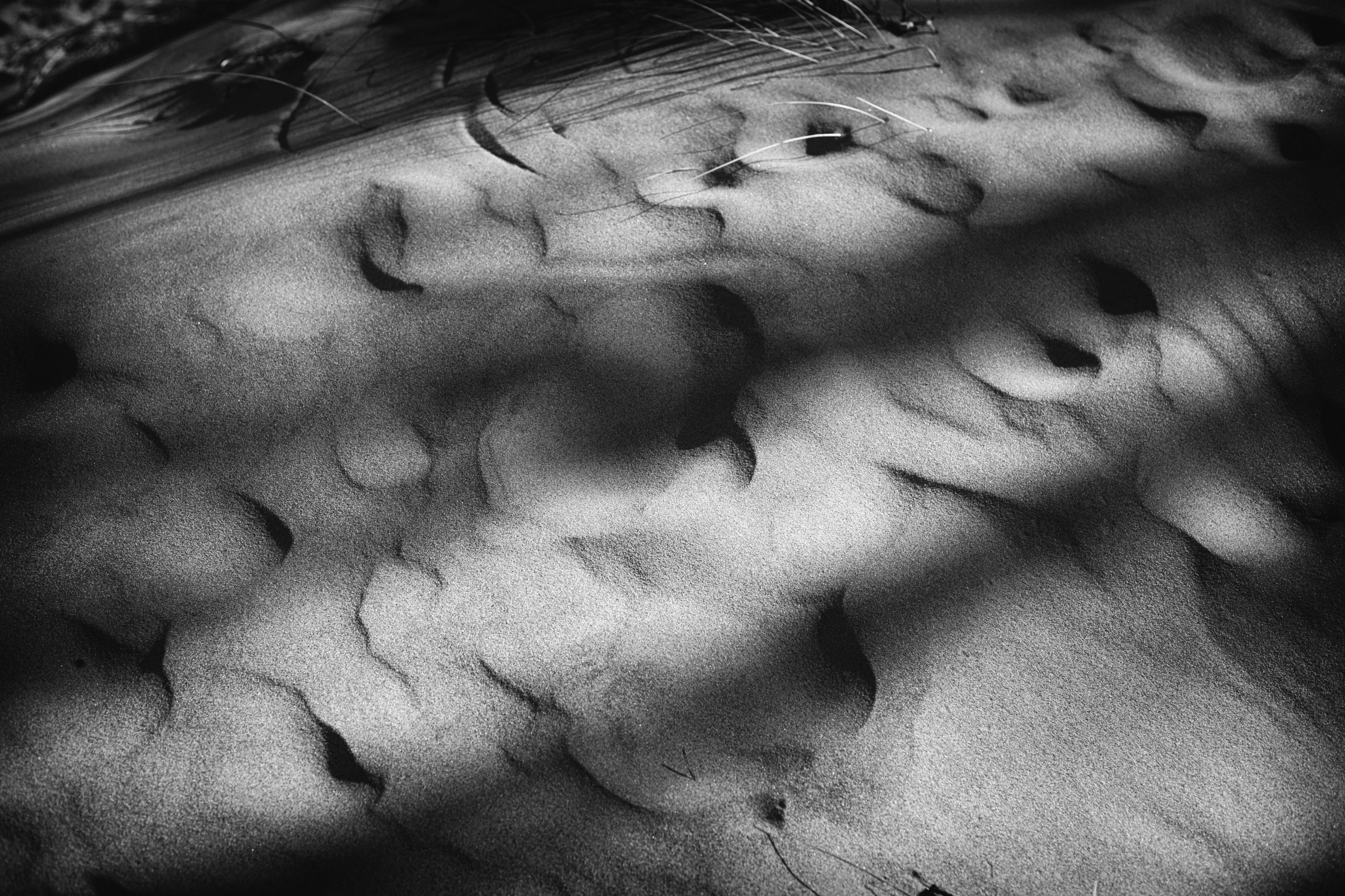 Grains of sand on a dune.