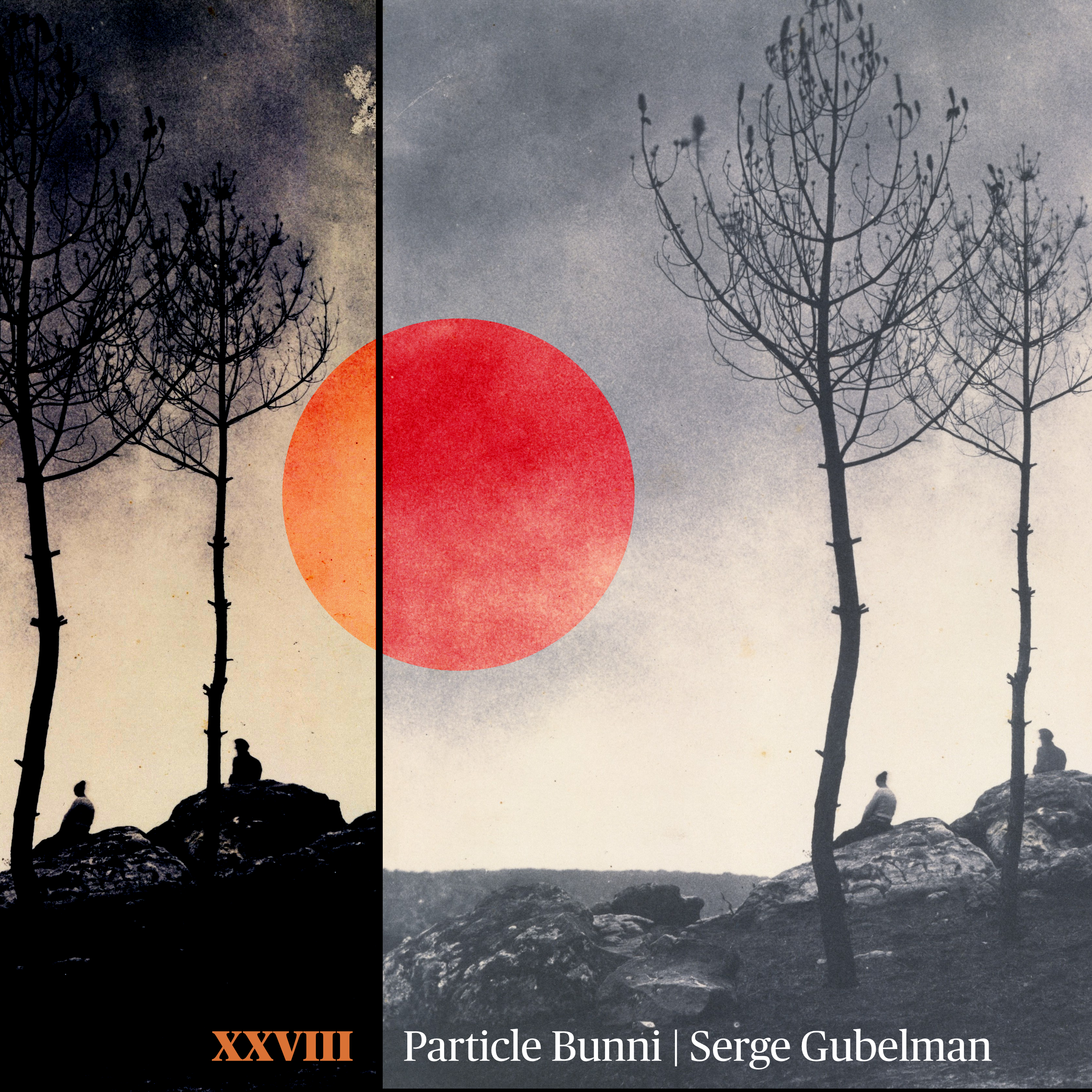 Cover image for XXVIII